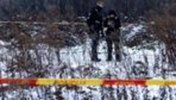 dhl-flugzeug abgestürzt: deutsche behörden untersuchen absturz der dhl-maschine