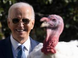 us-tradition vor thanksgiving: biden rettet peach und blossom vor der schlachtbank