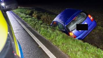 Wildwechsel: Nachts auf der Landstraße und Baby an Bord