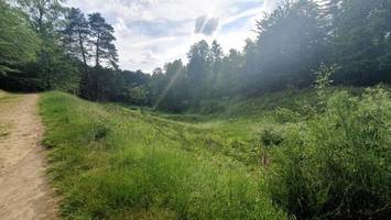 Stadtwald im Wandel: Gefahr aus den Gärten bedroht das Idyll