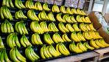 reifekammern für bananen: neues edeka-fruchtkontor im hamburger hafen