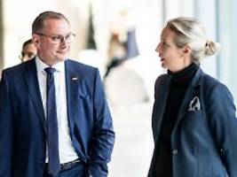 nur bei absoluten ausnahmen: afd will abtreibungen weitestgehend einschränken