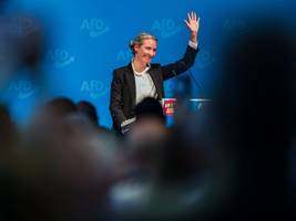 afd-wahlprogramm: ja zu russland, gas und kohle – nein zur abtreibung und zur eu