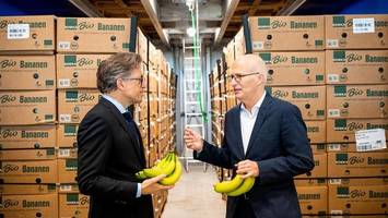 nach jahrelangem streit: edeka eröffnet modernes fruchtlager