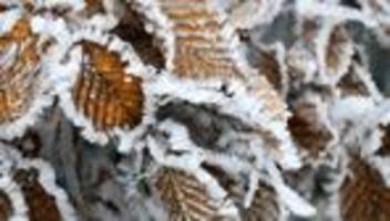 wettervorhersage: frostiger erster advent - regen und wolken zum wochenstart