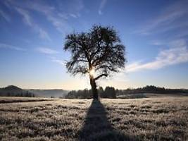 hoffnung auf weiße weihnacht: bühne ist frei für ein wettergewaltiges tiefdruck-trio