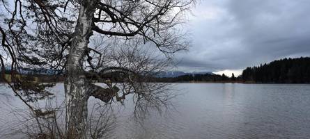 wetterdienst kündigt schnee zum wochenstart in bayern an