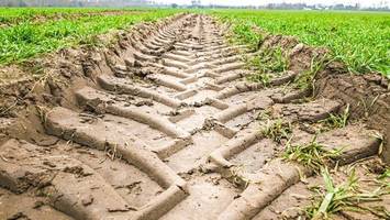 elisabeth-aue: die konkreten pläne für das neue riesen-quartier