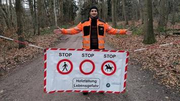 trotz lebensgefahr: spaziergänger missachten sperrungen im wald