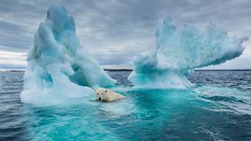 kein co2-speicher mehr - in der tundra der arktis entdecken us-forscher eine „dramatische veränderung“