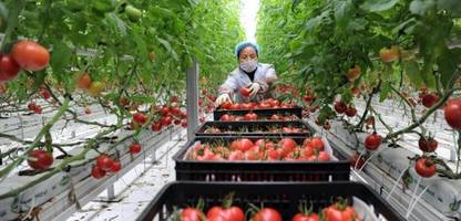 Francesco Mutti über Tomaten aus China: »Es ist an der Zeit, diesen traurigen Handel zu beenden«