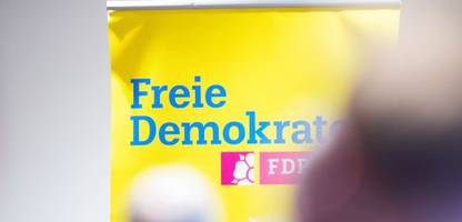 FDP-ENtwurf fürs Wahlprogramm: Massive Steuersenkungen und die Schuldenbremse einhalten