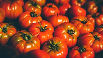 Gut für den Körper - Das passiert im Körper, wenn Sie jeden Tag Tomaten essen