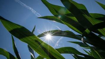 Deutscher Wetterdienst: 2024 wärmstes Jahr seit Messbeginn