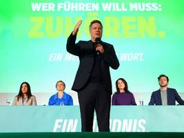 Grünen-Wahlprogramm: „Wer das sagt, veräppelt das Land“