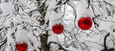 Gibt es doch noch weiße Weihnachten?