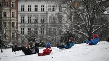 Weiße Weihnachten in Berlin 2024: So stehen die Chancen