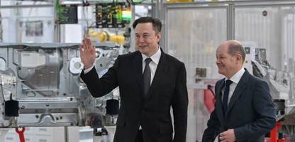 Elon Musk mischt sich schon jetzt ein - in Deutschland, Italien, Großbritannien