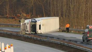 Lkw mit Schweinehälften umgekippt: Stundenlange Vollsperrung