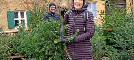 Oh Tannenbaum! So läuft der Christbaum-Verkauf in der Fuggerei