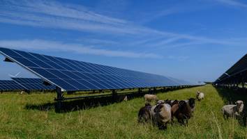 Agri-PV - Der große Energie-Kniff, der Deutschlands Bauernhöfe retten kann