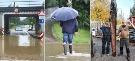 Hochwasser, Abschiebungen, nackte Haut: Diese Themen bewegten die Region