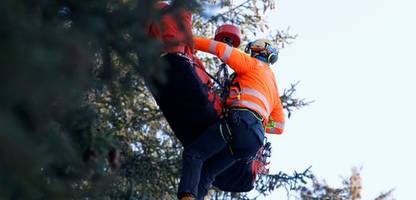ski alpin: cyprien sarrazin nach sturz in bormio auf intensivstation
