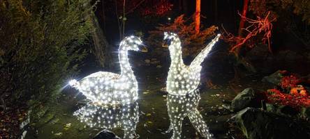 christmas garden augsburg 2024: tickets, Öffnungszeiten, termine und anfahrt