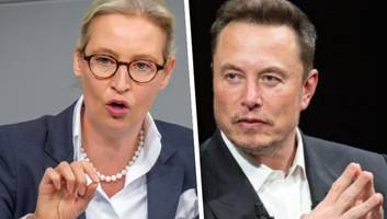 Tesla-Chef und AfD-Chefin - Zwischen Alice Weidel und Elon Musk wird es jetzt konkret: „Die werden durchdrehen“