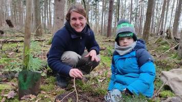 Holzspielzeughersteller pflanzt jedes Jahr einen neuen Wald