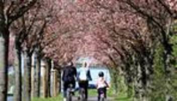 ausbau von radwegen: adfc kritisiert streichung bei mitteln zum radwegebau