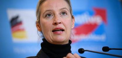 Alice Weidel und Elon Musk: AfD-Chefin will mit Tech-Milliardär auf X sprechen