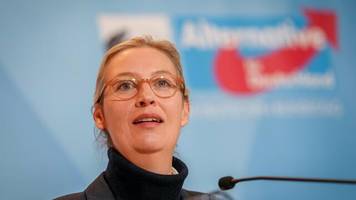 Wahlkampf: Weidel und Musk Live-Talk  wohl am 9. Januar