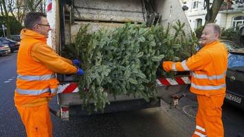 Tschüs Weihnachtsbaum! Hier werden Sie Ihre alten Tannen los