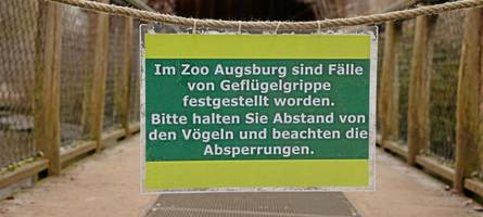 Erster Toter in den USA: Wie gefährlich ist die Vogelgrippe?