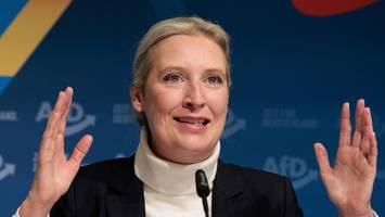 Gespräch zwischen Weidel und Musk – droht neuer Ärger?