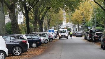 zusätzliche bäume an radwegen: diese bezirke profitieren besonders
