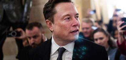 Elon Musk: Bundestag prüft Engagement für AfD als möglicherweise illegale Parteispende