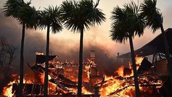 waldbrände in los angeles: kachelmann provoziert mit klima-these