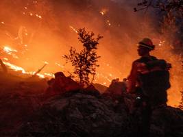 Kalifornien: Fast 800 Häftlinge kämpfen als Feuerwehrleute gegen die Flammen