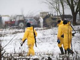 Ausbruch von MKS bei Büffeln: Schweine werden in Sperrkreis vorsorglich getötet