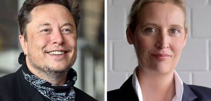 Alice Weidel und Elon Musk: Kann der Live-Talk eine illegale Parteispende sein?