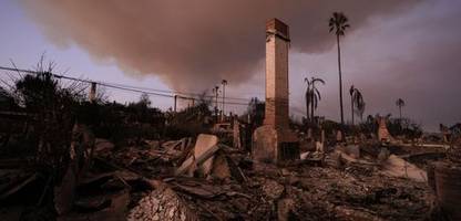 Feuerkatastrophe in Los Angeles: Interview mit Kardiologe Sanjay Rajagopalan über Gift im Rauch