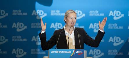 Die AfD provoziert mit rechten Parolen und erhebt doch Regierungsanspruch