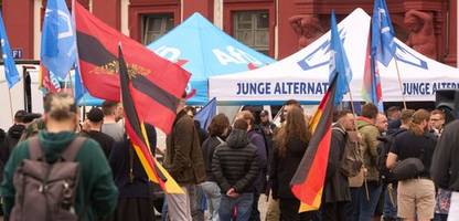 AfD trennt sich von Junger Alternative und beschließt Gründung neuer Jugendorganisation