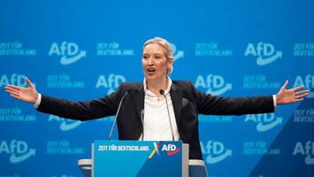 afd-parteitag in riesa - mit wutrede lässt weidel einen entscheidenden afd-widerspruch ungelöst