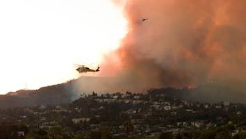 Brände in Los Angeles - Von Mitleid überwältigt: So gelingt der gesunde Umgang mit Konflikten