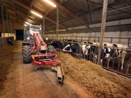 Landwirtschaft: Bayern bereitet sich auf die Maul- und Klauenseuche vor