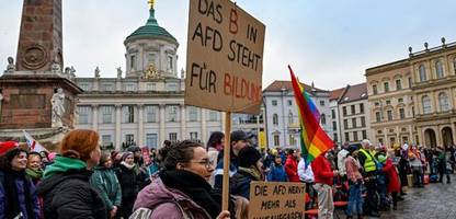 dominik kaufner: afd-politiker scheitert bei wahl zum vorsitzenden im brandenburger bildungsausschuss