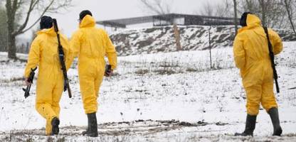 Maul- und Klauenseuche (MKS) in Brandenburg: »Die Sorge vor einem Preisverfall ist sehr groß«